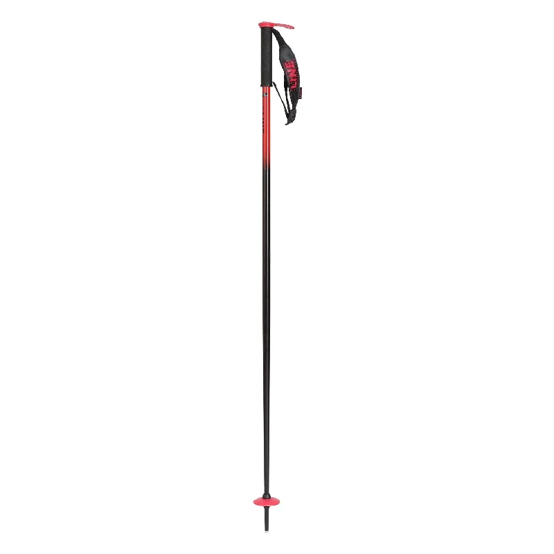 Pin Ski Poles 2023