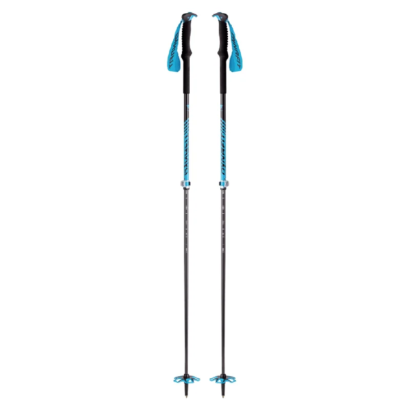 Tour Vario poles